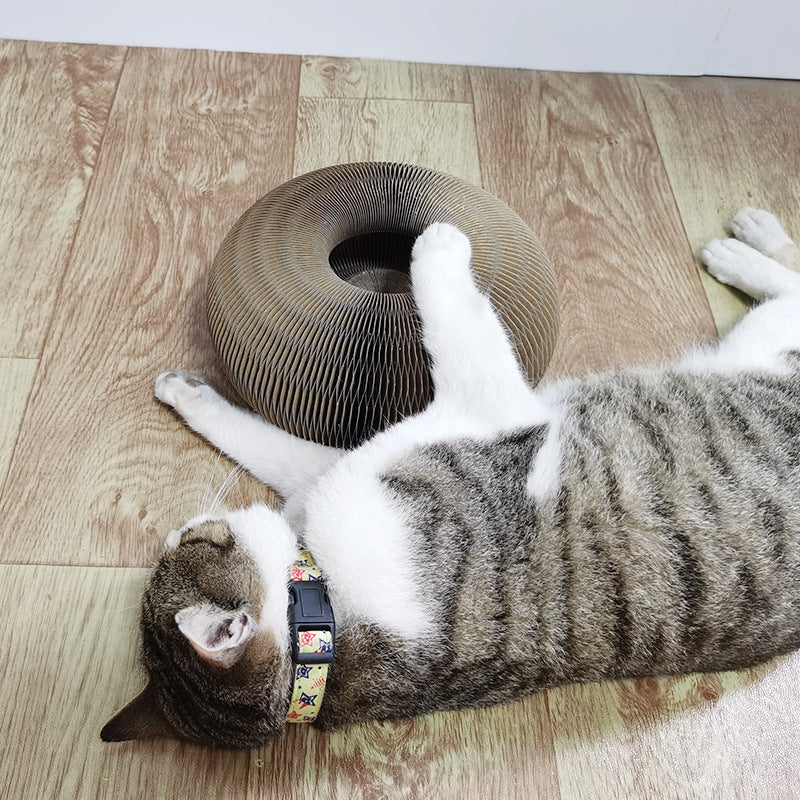 MAGIC CAT SCRATCHER 2-in-1-Kratzspielzeug für Katzen
