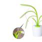 DESKLAMP PLANTLIGHT Tischleuchte